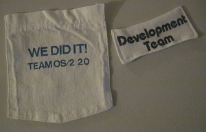 small extra graphics pieces from shirts
